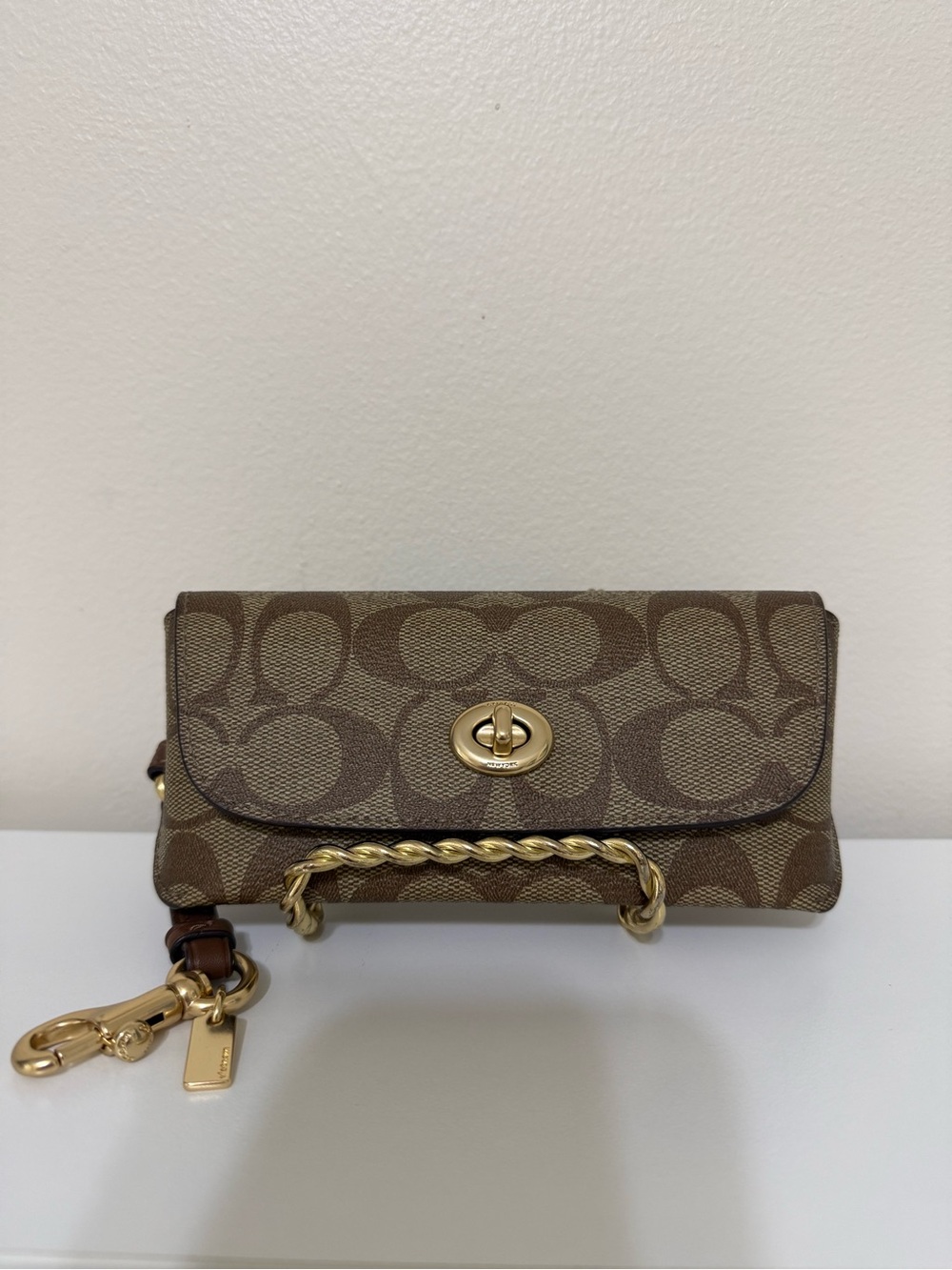Coach Signature Canvas Turnlock Eye/Sun glass Case In Brown